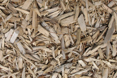biomass boilers Roachill