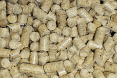 Roachill biomass boiler costs